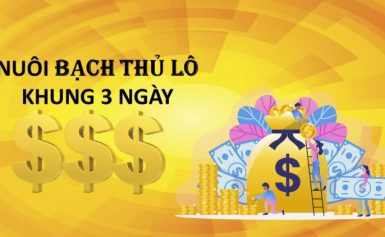 Dàn đề 36 con số miền bắc đẹp hôm nay nuôi nhiều ngày