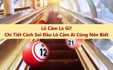 Tìm hiểu về lô đầu 8 câm nên và không nên làm gì?