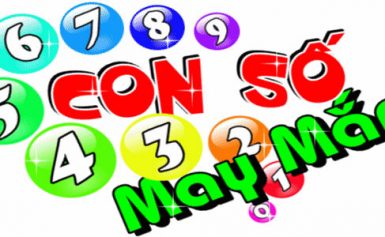 MN ngày 7 tháng 3 năm 2025 – Dự đoán XS miền Nam